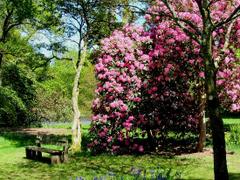 Tudor Caravan Park - Amazing natural scenes at Westonbirt